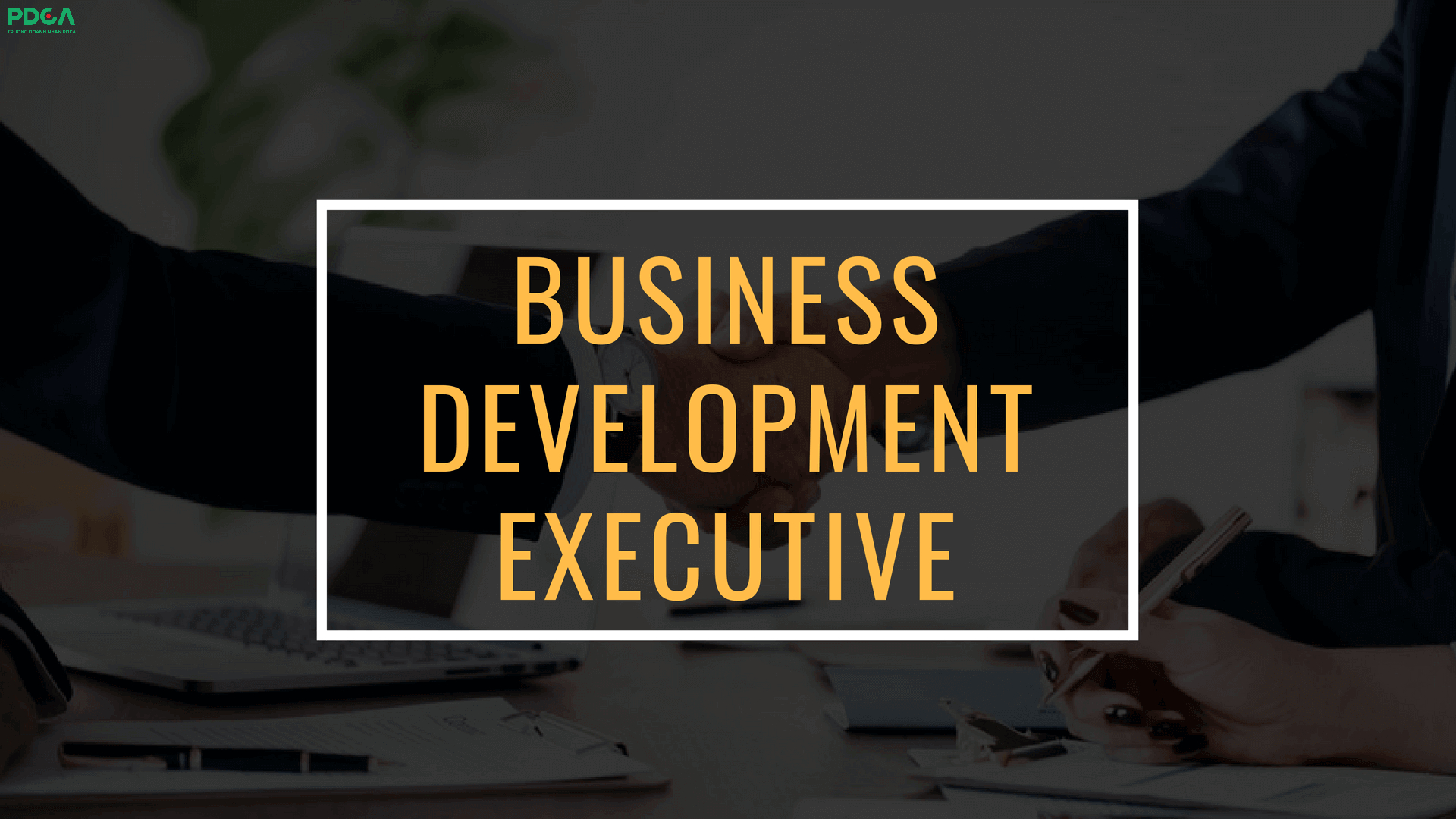Business Development Excecultive là nhân viên phát triển kinh doanh