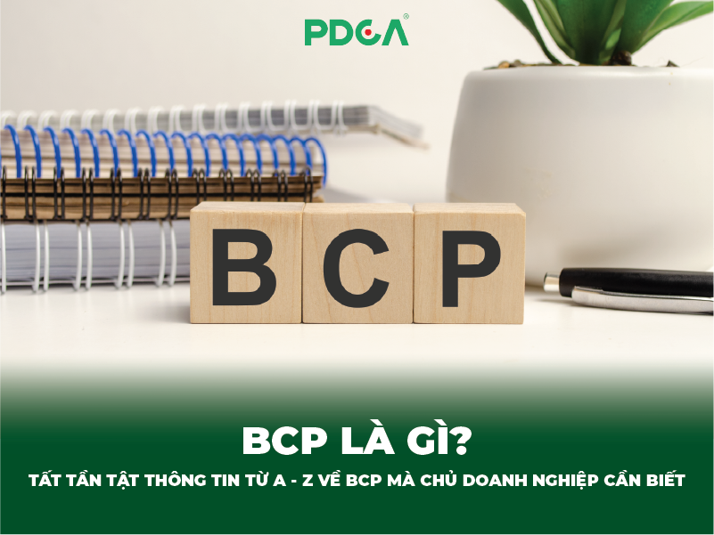 Bcp là gì? Tất tần tật thông tin từ A - Z về Bcp mà chủ doanh nghiệp cần biết