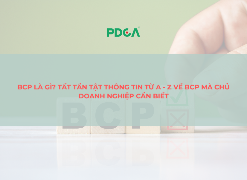 Bcp là gì? Tất tần tật thông tin từ A - Z về Bcp mà chủ doanh nghiệp cần biết